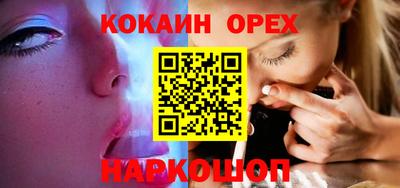 гашик Моздок