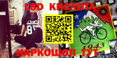 гашик Моздок