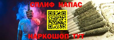 гашик Моздок