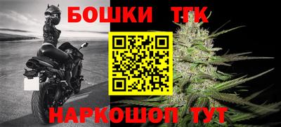 гашик Моздок