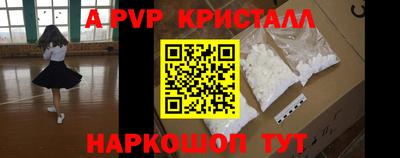 гашик Моздок