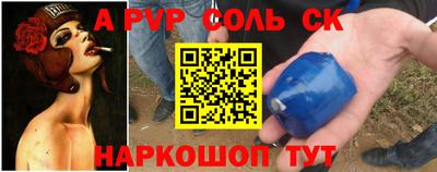 гашик Моздок