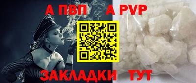 гашик Моздок