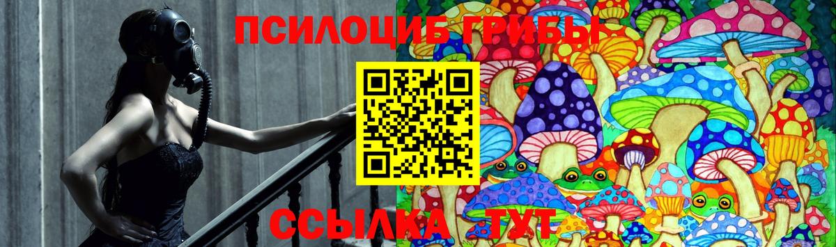 Славгород  Псилоцибиновые грибы MAGIC MUSHROOMS  Вход с VPN 